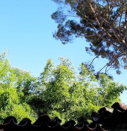 Bamboo Apartman Portoroz Exterior photo